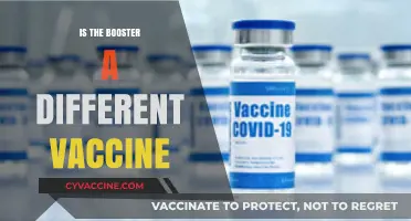 Understanding COVID-19 Boosters: Are They Different Vaccines?
