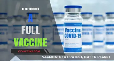Understanding COVID-19 Boosters: Are They Full Vaccines?