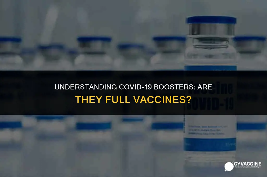 is the booster a full vaccine
