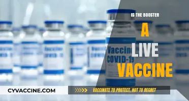 Understanding COVID-19 Boosters: Are They Live Vaccines?