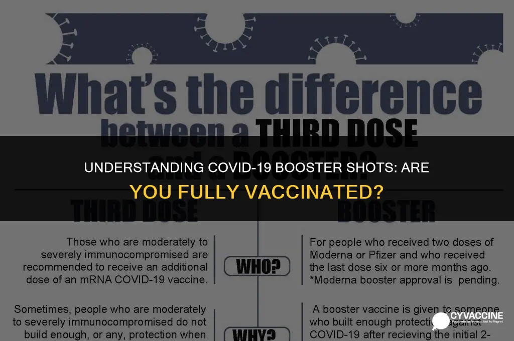 is the booster considered fully vaccinated
