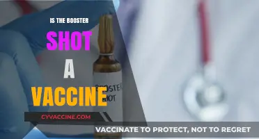 Understanding Booster Shots: Are They Vaccines?