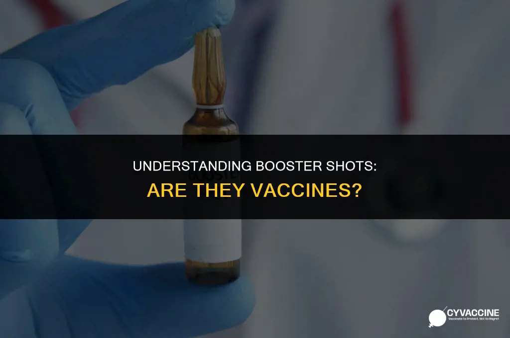 is the booster shot a vaccine