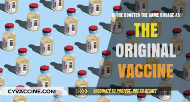 Booster vs. Original Vaccine: Same Dosage or Different Approach?