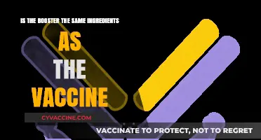 Are Booster Shots Identical to Original Vaccine Ingredients?