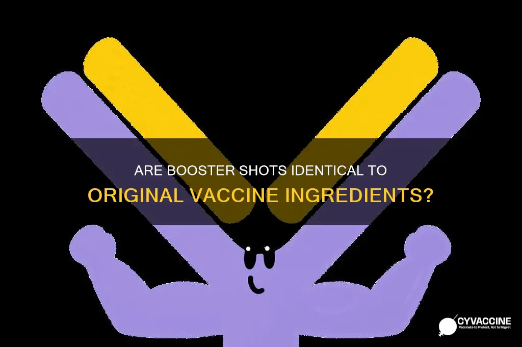 is the booster the same ingredients as the vaccine