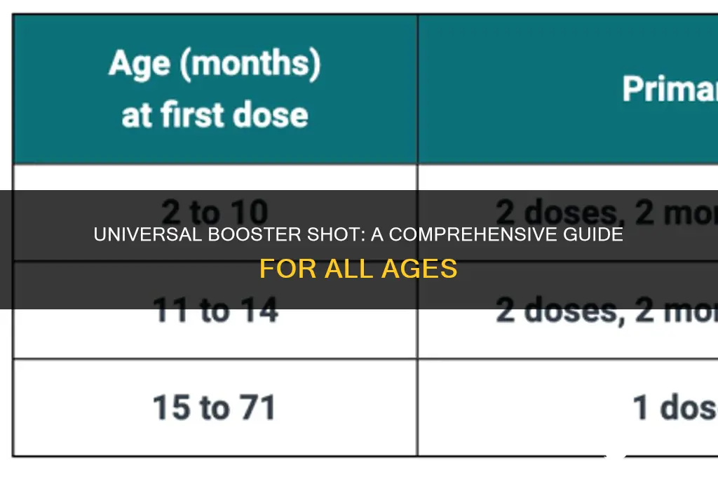 is the booster vaccine for everyone