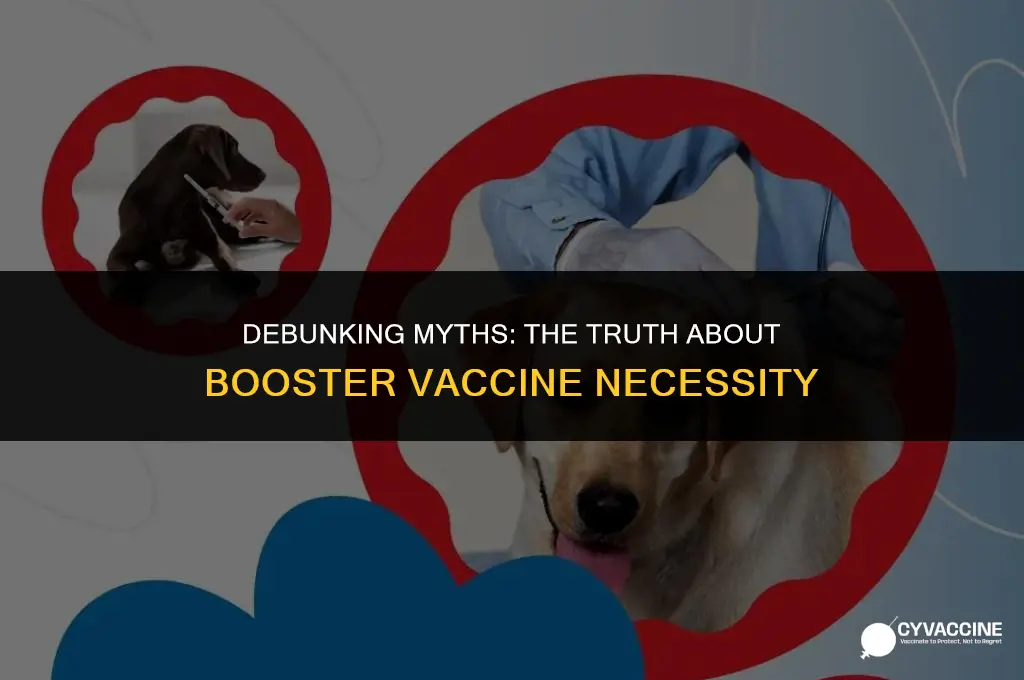 is the booster vaccine really necessary