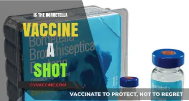 Understanding Bordetella Vaccination: A Comprehensive Guide for Pet Owners