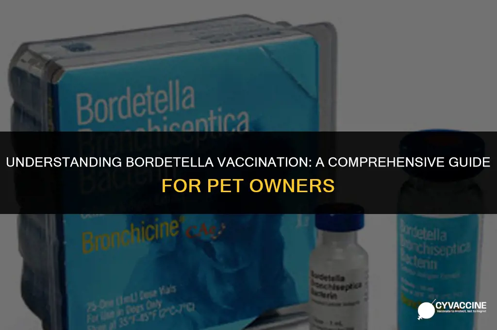 is the bordetella vaccine a shot