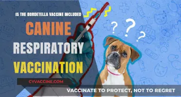Is Bordetella Vaccine Part of Canine Respiratory Vaccination Protocols?