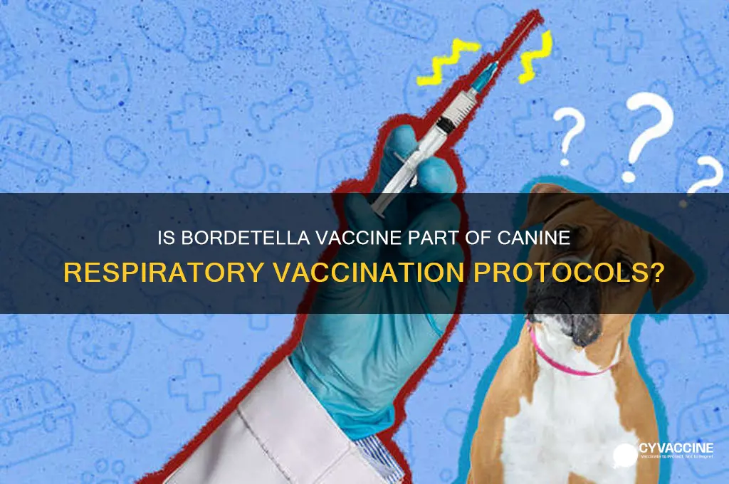 is the bordetella vaccine included canine respiratory vaccination