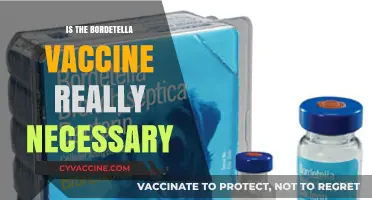 Unraveling the Necessity of the Bordetella Vaccine: A Comprehensive Look