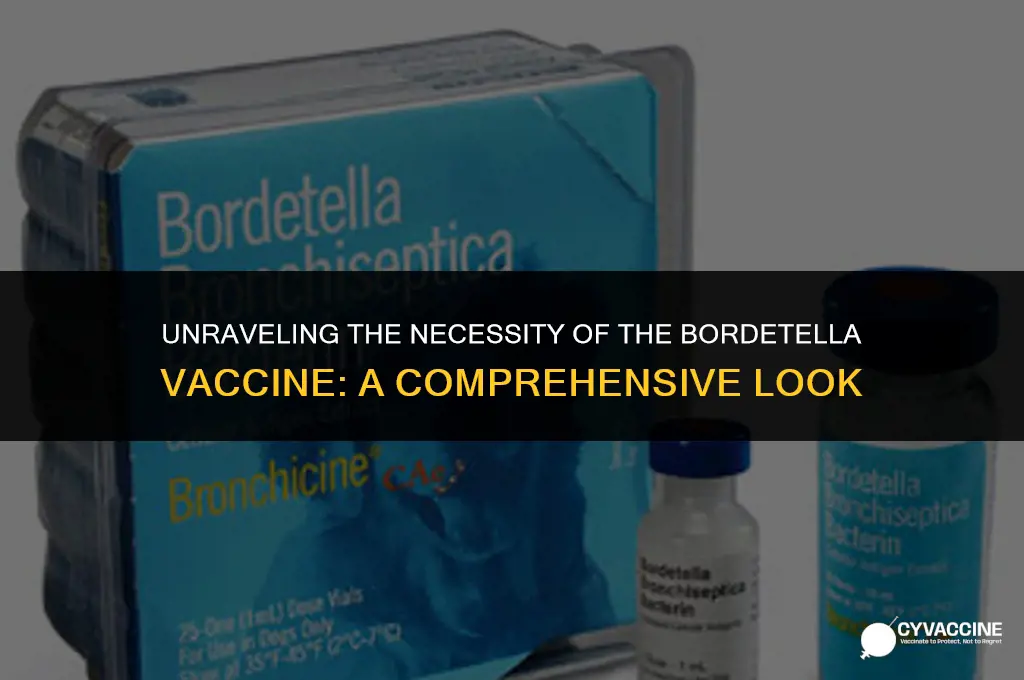 is the bordetella vaccine really necessary