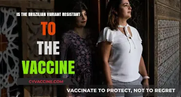 Brazilian COVID-19 Variant: Vaccine Resistance Concerns and Facts