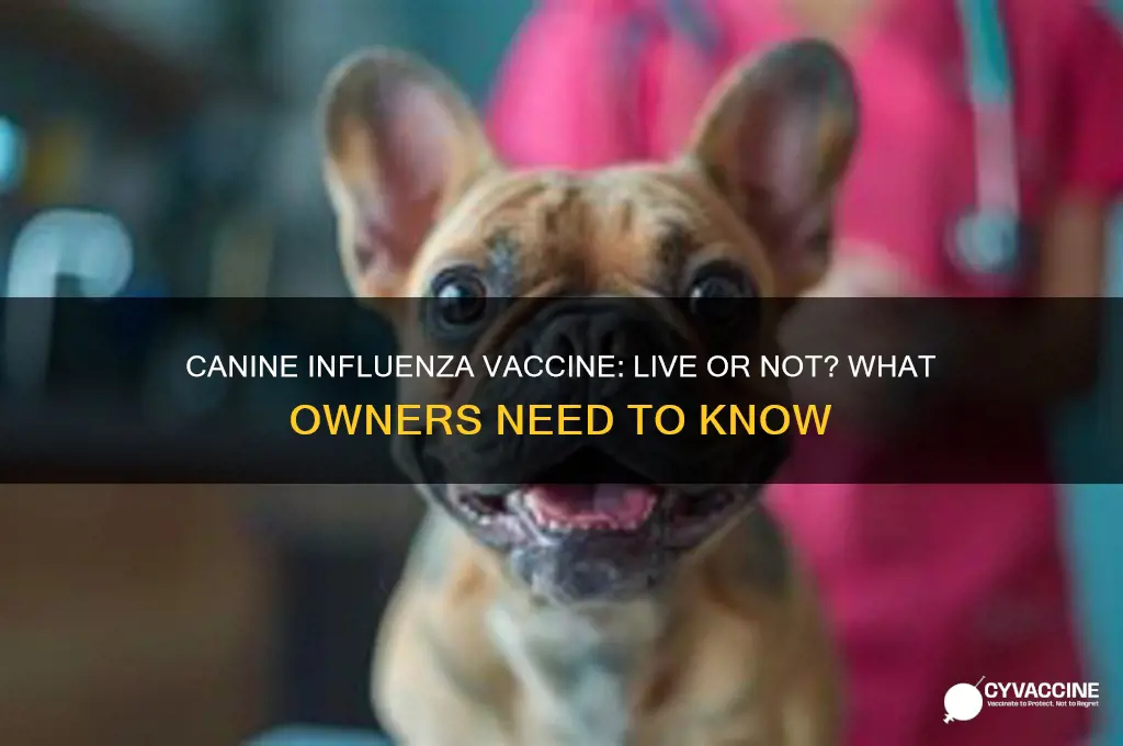 is the canine influenza vaccine a live vaccine