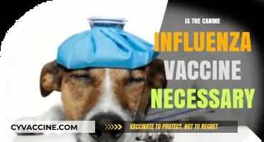 Protecting Your Pup: The Canine Influenza Vaccine Debate