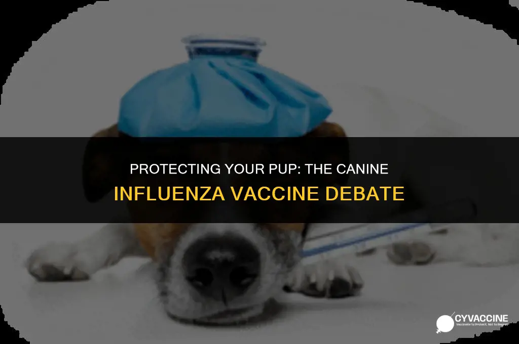 is the canine influenza vaccine necessary