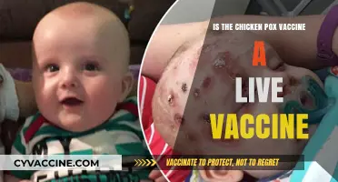 Is the Chicken Pox Vaccine Live? Understanding Varicella Immunization