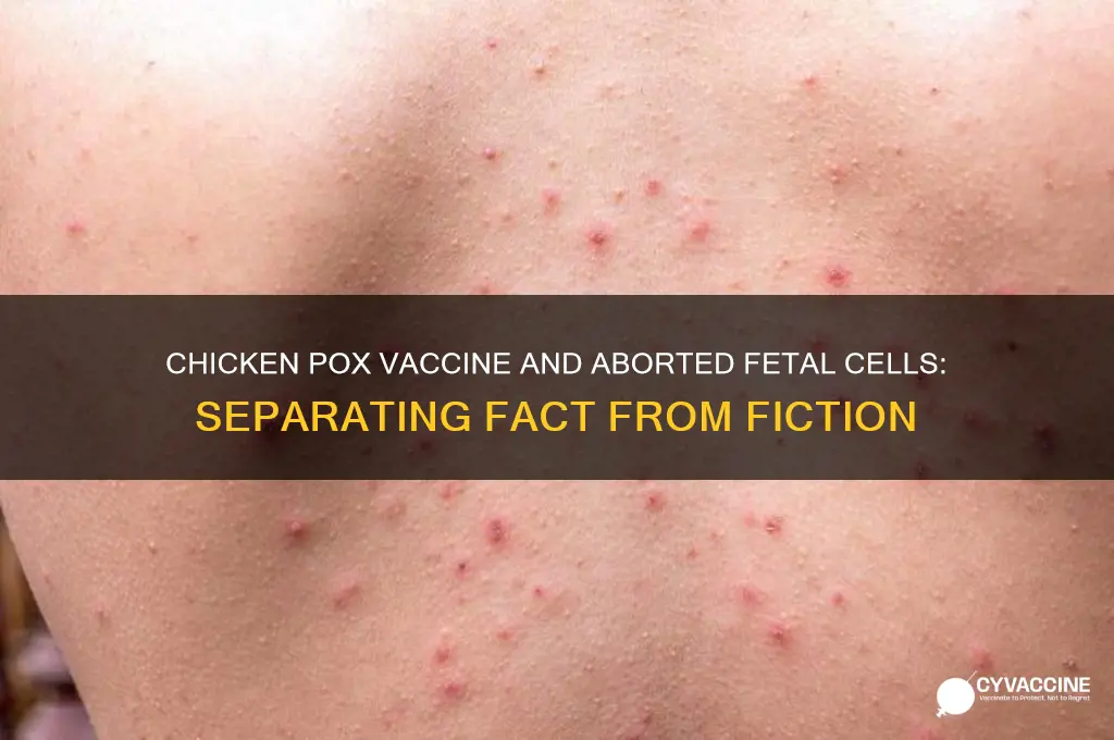 is the chicken pox vaccine derived from aborted fetal cells