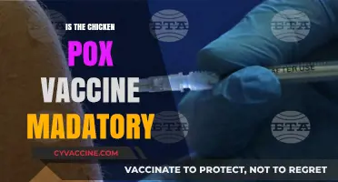 Exploring the Necessity: Is the Chickenpox Vaccine Mandatory?