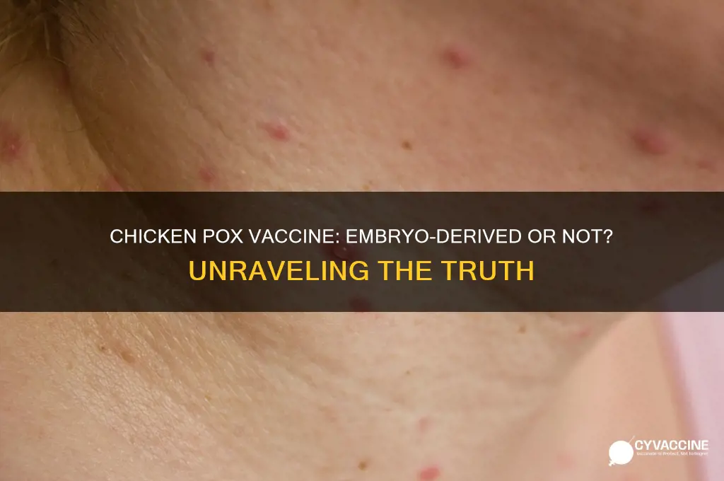 is the chicken pox vaccine made from embryos