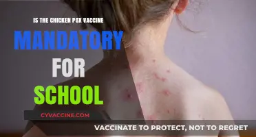 Is the Chicken Pox Vaccine Required for School Enrollment?