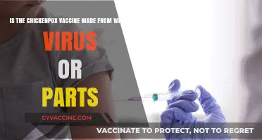 Chickenpox Vaccine: Whole Virus or Parts? Understanding Its Composition