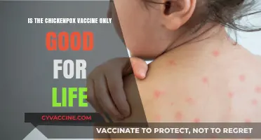 Chickenpox Vaccine: Lifelong Immunity or Periodic Booster Needed?