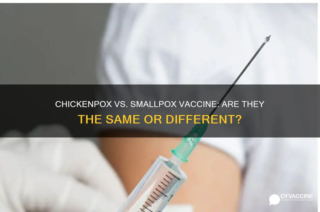is the chickenpox vaccine the same as the smallpox vaccine