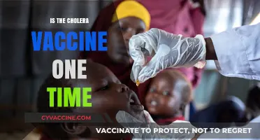 Understanding Cholera Vaccination: Is It a One-Time Shot?