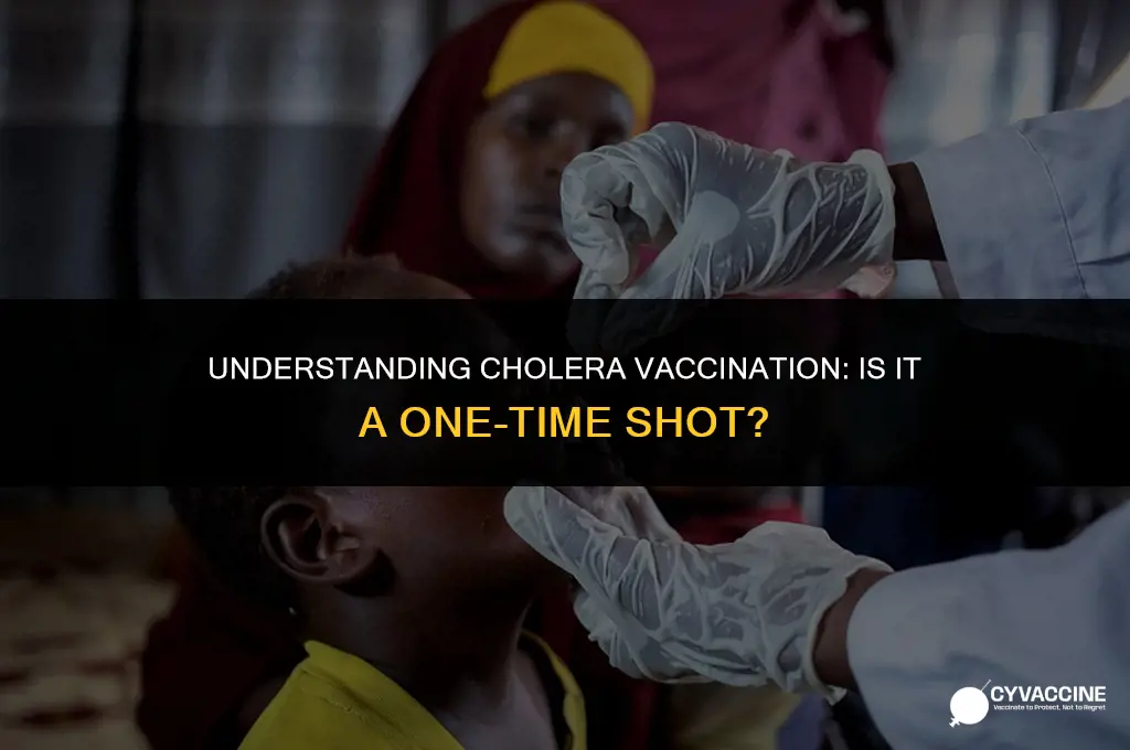 is the cholera vaccine one time