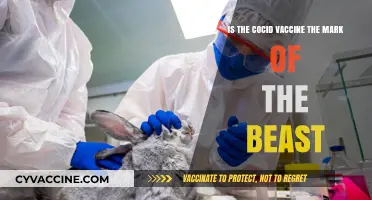 COVID Vaccine: Unraveling the 'Mark of the Beast' Myth