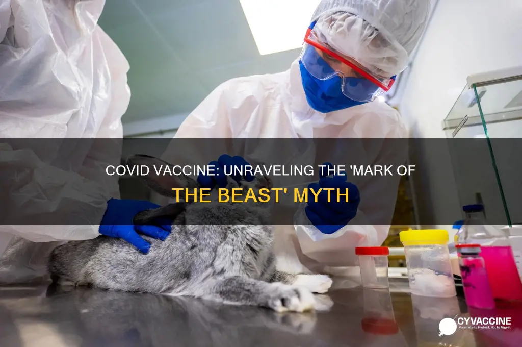 is the cocid vaccine the mark of the beast