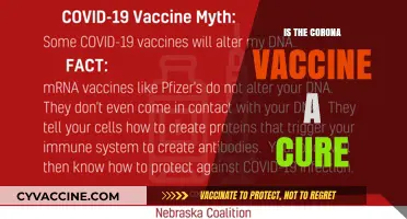 Debunking Myths: The Corona Vaccine - A Cure or Not?