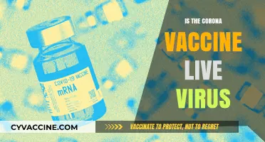 Debunking Myths: The Truth About COVID-19 Vaccine Ingredients