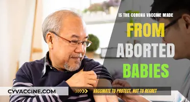 Debunking Myths: The Truth About COVID-19 Vaccines and Abortion Claims
