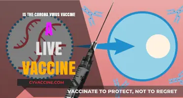 Is the COVID-19 Vaccine Live? Understanding Its Composition and Safety