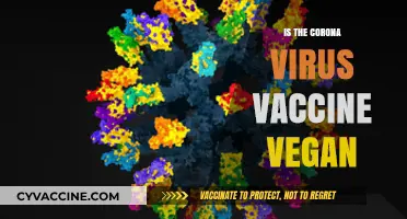 Exploring Veganism and the COVID-19 Vaccine: Facts and Myths
