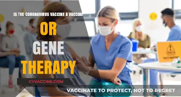 COVID-19 Vaccine: Traditional Immunization or Gene Therapy Innovation?