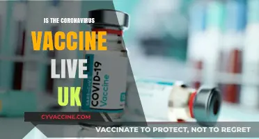 UK's Coronavirus Vaccine: Live Updates and Essential Information