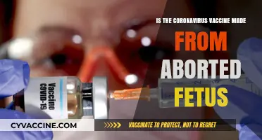 Debunking Myths: The Truth About COVID-19 Vaccines and Fetal Cells