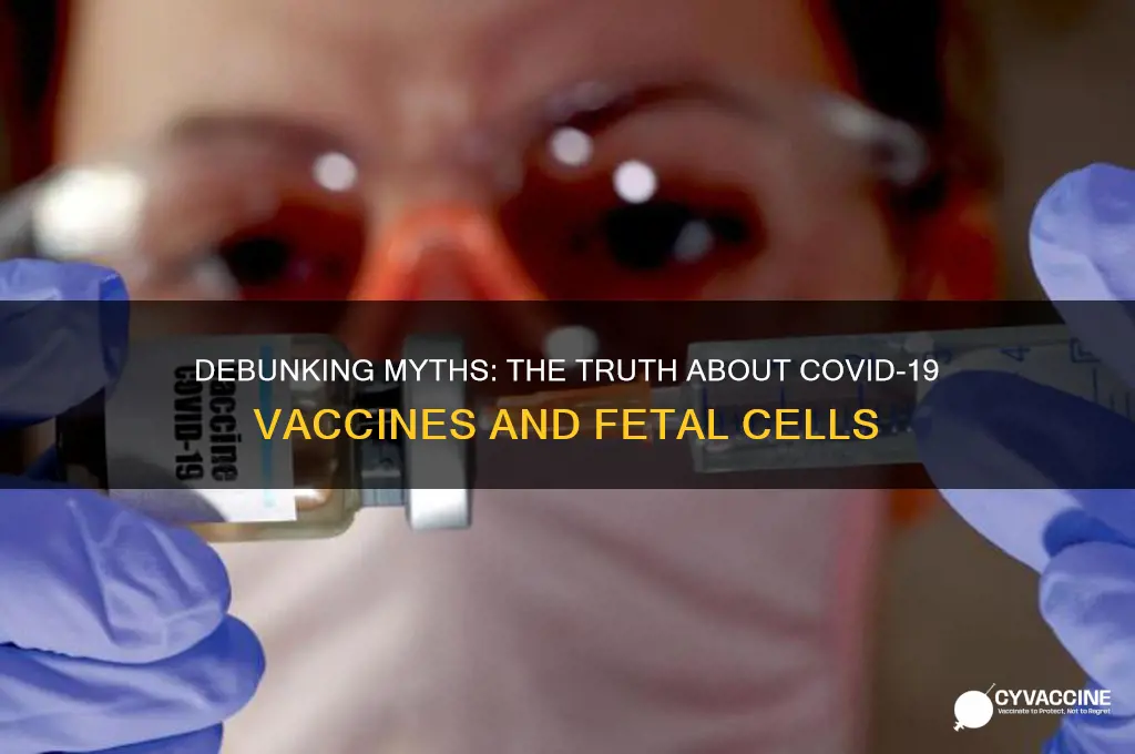 is the coronavirus vaccine made from aborted fetus