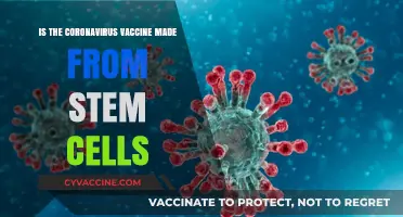 Coronavirus Vaccine and Stem Cells: Separating Fact from Fiction