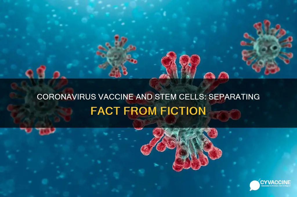 is the coronavirus vaccine made from stem cells