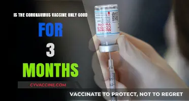 How Long Does COVID-19 Vaccine Protection Last: 3 Months or More?