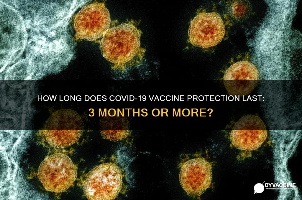 is the coronavirus vaccine only good for 3 months