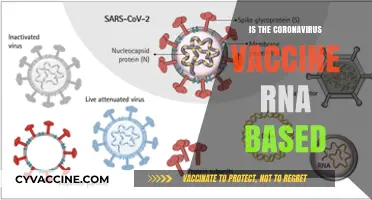 Decoding the Science: Is the Coronavirus Vaccine RNA-Based?