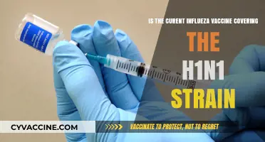 Does the Current Influenza Vaccine Include H1N1 Protection?