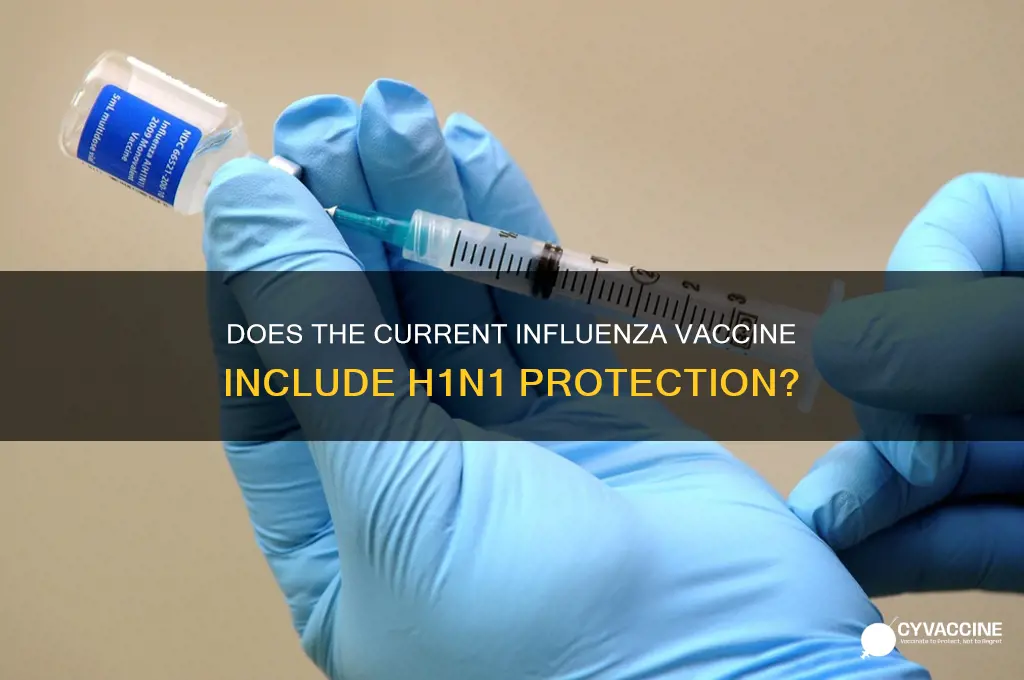 is the curent influeza vaccine covering the h1n1 strain